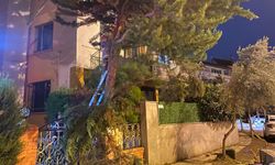 Pamukkale Belediyesi’nden Fırtına Nöbeti