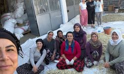 Denizli'de kadının gücü: İpek Genç, Çivril papatyasını Türkiye markası yaptı!