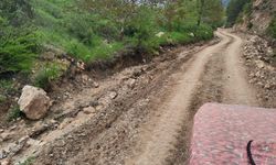 Mazot ve gübre var ama tarla yolu yok: Denizli'de çiftçiler belediyeleri göreve çağırdı