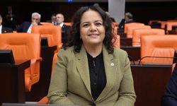 Nilgün Ök'ten kanun hakkında flaş açıklama