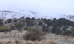 Denizli’nin birçok ilçesine yılın ilk karı düştü