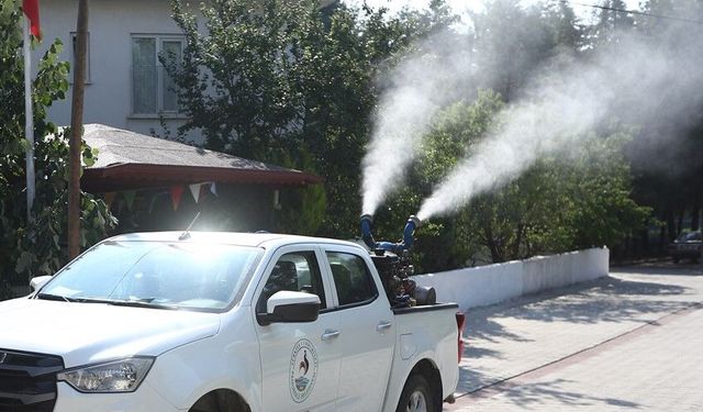 Pamukkale’de sivrisinek ve karasinekle mücadelede vatandaş desteği önemli
