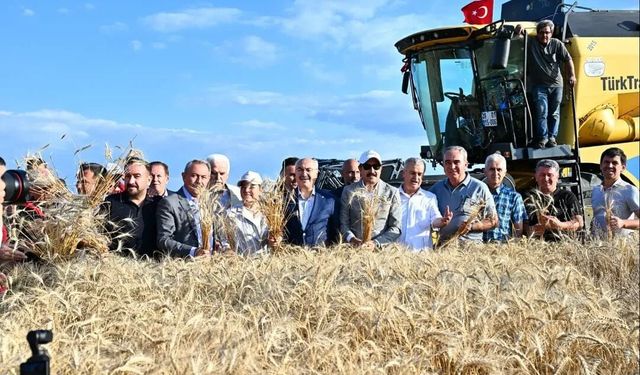 Denizli Valisi Köşger biçerdöver koltuğuna geçti: Acıpayam'da yerli tohumda bereketli hasat!
