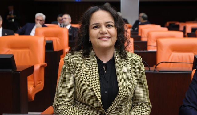Nilgün Ök'ten kanun hakkında flaş açıklama