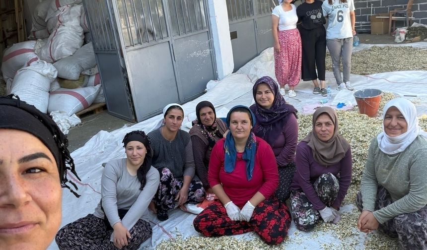 Denizli'de kadının gücü: İpek Genç, Çivril papatyasını Türkiye markası yaptı!
