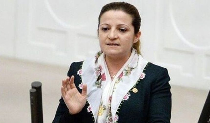 Yazmalı Efe partisinden istifa etti
