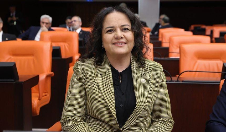 Nilgün Ök'ten kanun hakkında flaş açıklama