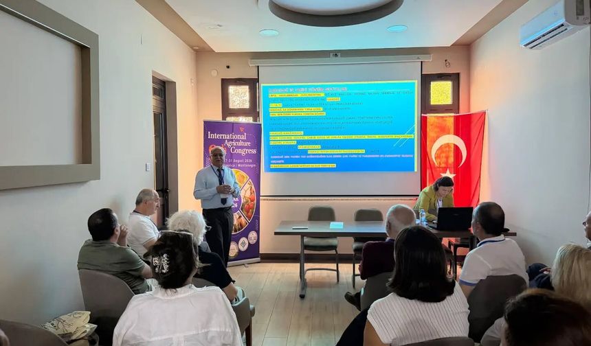 Baklan’dan Karadağ’a Uzanan Ekonomi ve Kalkınma Vizyonu