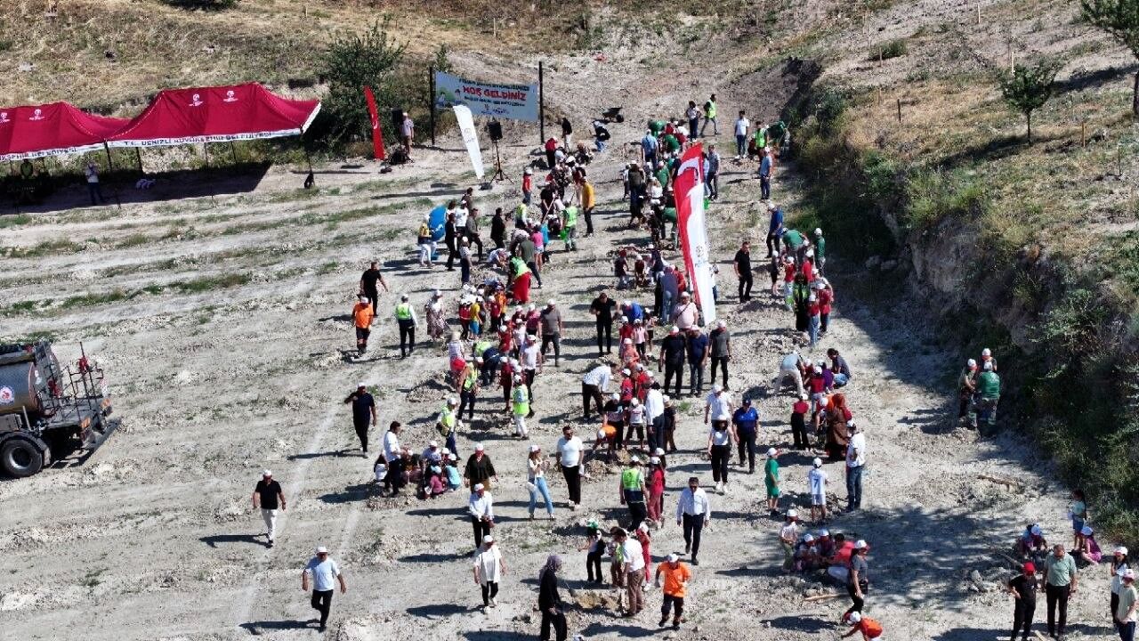 Büyükşehir Ile Doğaya Yeşil Dokunuş Zeytin Fidanları Toprakla Buluştu (4)